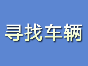 金城江寻找车辆