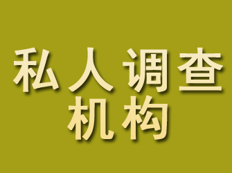 金城江私人调查机构