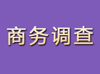 金城江商务调查